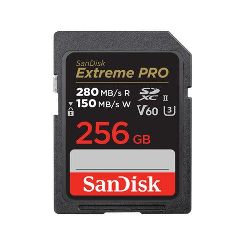 Micro SD-Karte SanDisk SDSDXEP-256G-GN4IN 256 GB