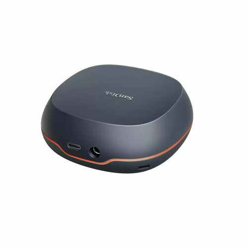 Externe Festplatte SanDisk SDSSDT40-8T00-EM25 Grau