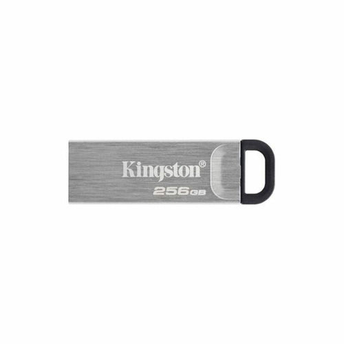 Pendrive Kingston DTKN/256GB USB 3.2 Schwarz 256 GB