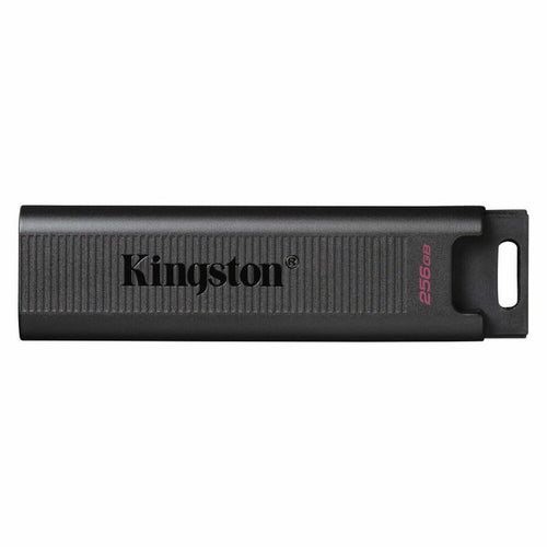 USB Pendrive Kingston DTMAX/256GB Schwarz 256 GB