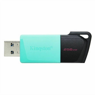 USB Pendrive Kingston DTXM/256GB Schwarz 256 GB