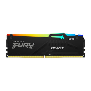 RAM Speicher Kingston Beast RGB 32 GB DDR5 5600 MHz CL40