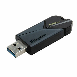 USB Pendrive Kingston DTXON/256GB Schwarz 256 GB