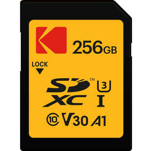 Speicherkarte Kodak EKMSD256GXC10HPRK