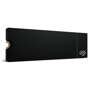 Festplatte Seagate ZP1000GP3A4001 1 TB SSD