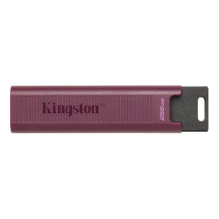 USB Pendrive Kingston Max Rot 256 GB (1 Stück)