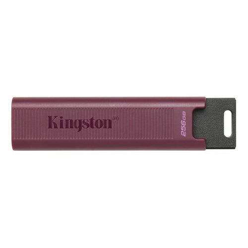 USB Pendrive   Kingston Max         Rot 256 GB